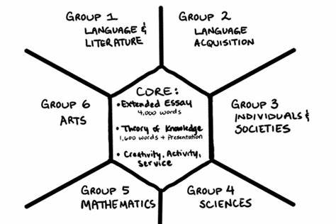 美國大學(xué)招生只看SAT,那么IB國際文憑還有意義嗎?